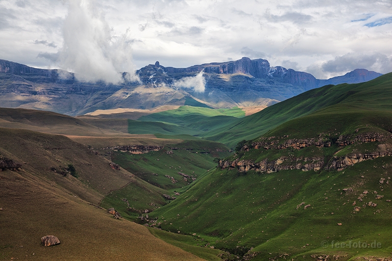Drakensberge meadows